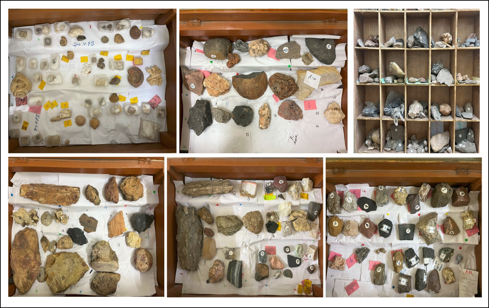 Sample Collection in the Department